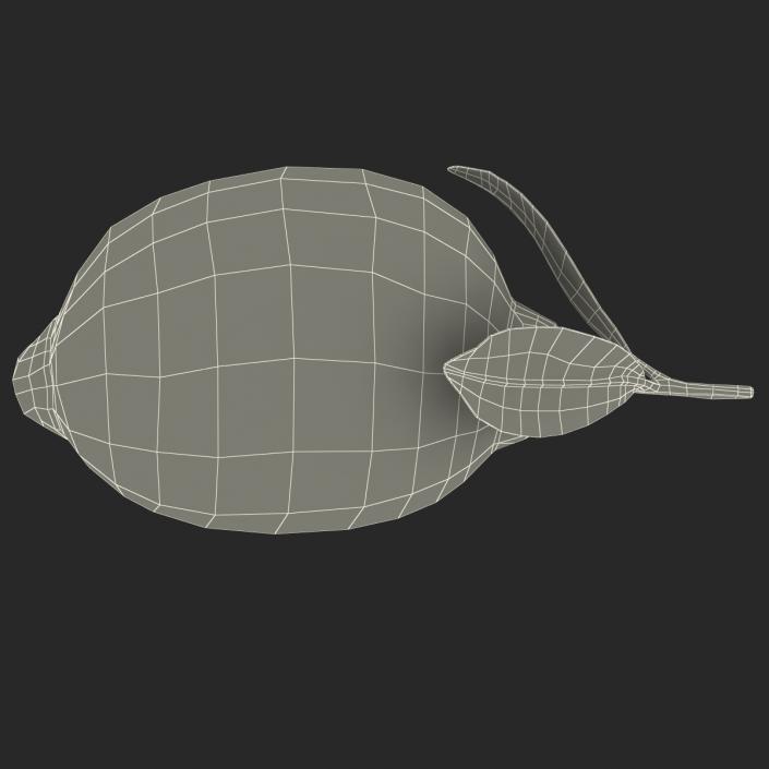 Lemon 2 3D model