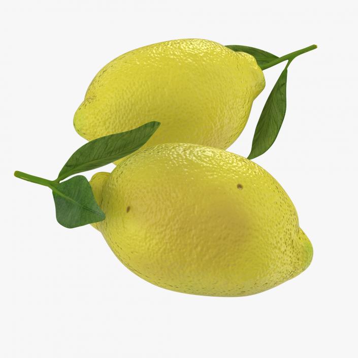 Lemon 2 3D model