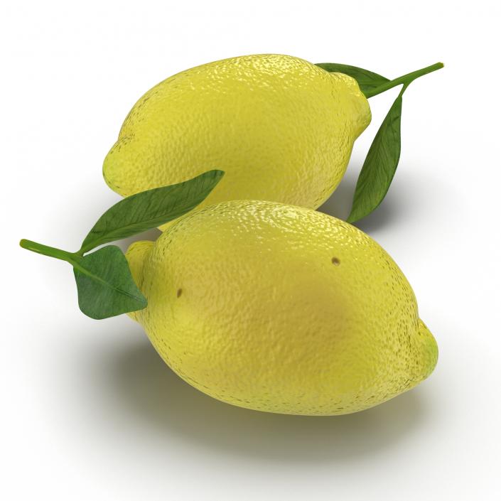 Lemon 2 3D model