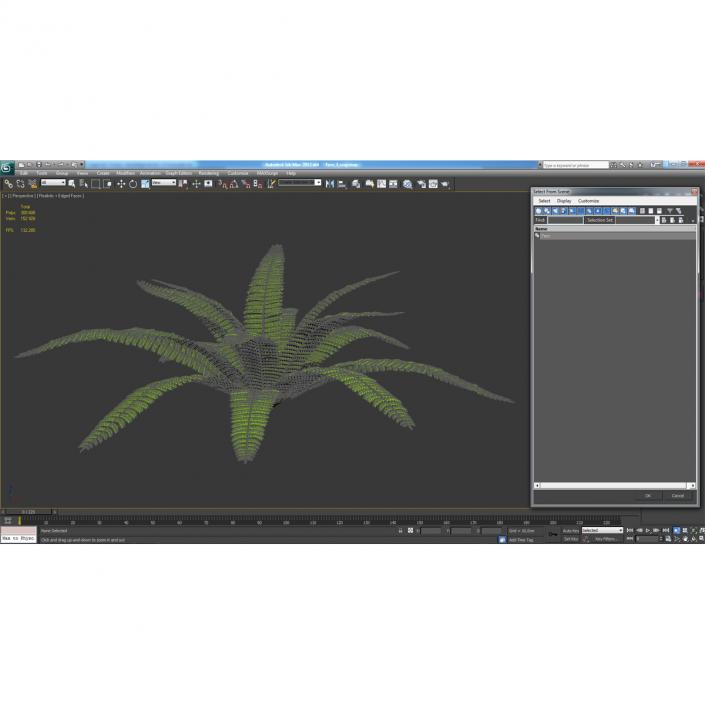 3D model Fern 3