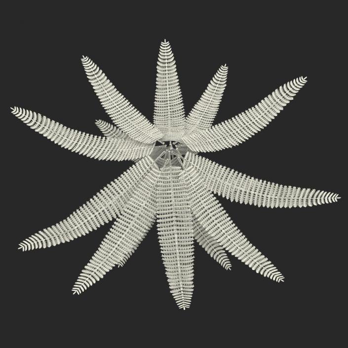 3D model Fern 3