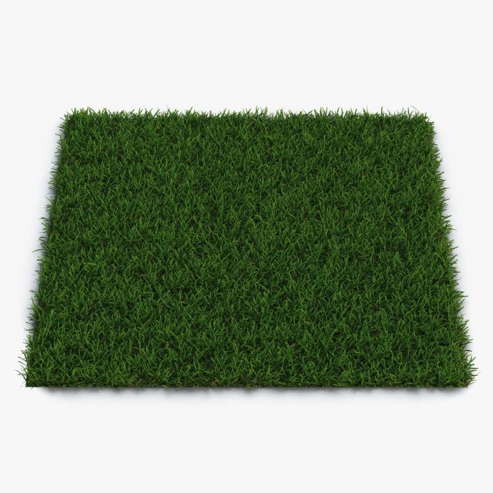 3D model Grass Fields Collection 3