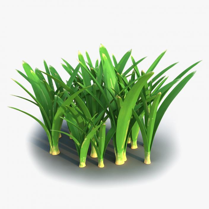 3D Grass Collection