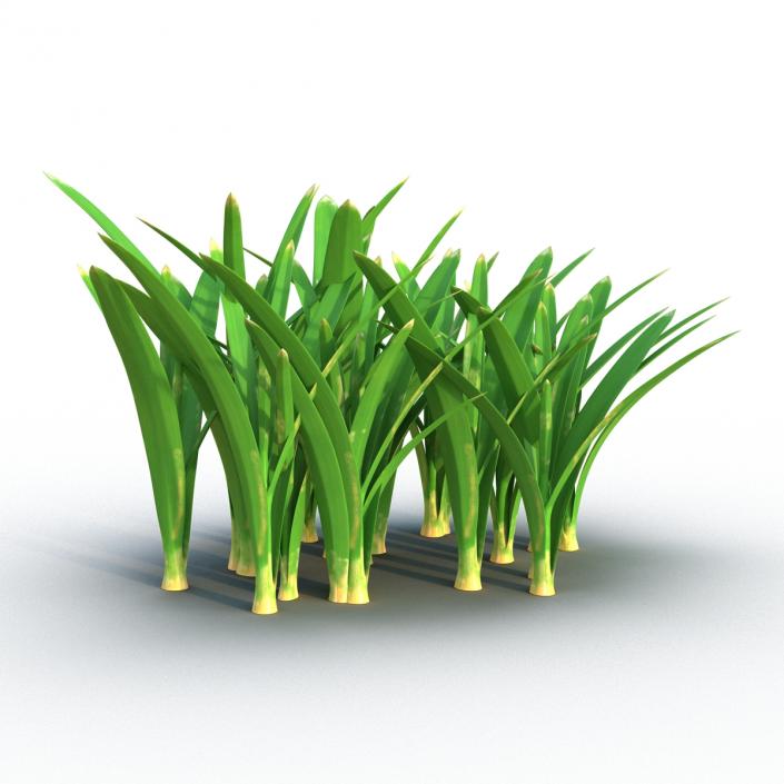 Grass 3 3D model