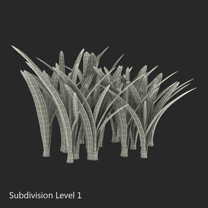 Grass 3 3D model