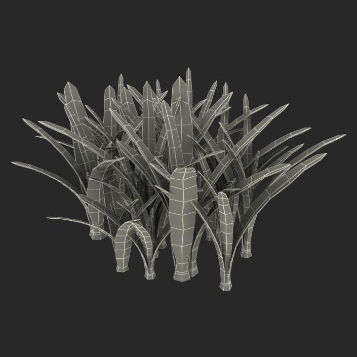 Grass 3 3D model