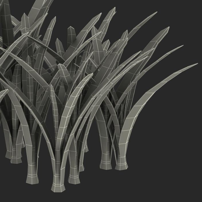 Grass 3 3D model