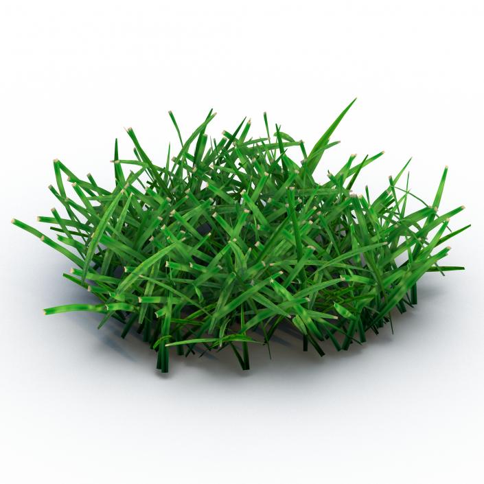 Grass 4 3D model