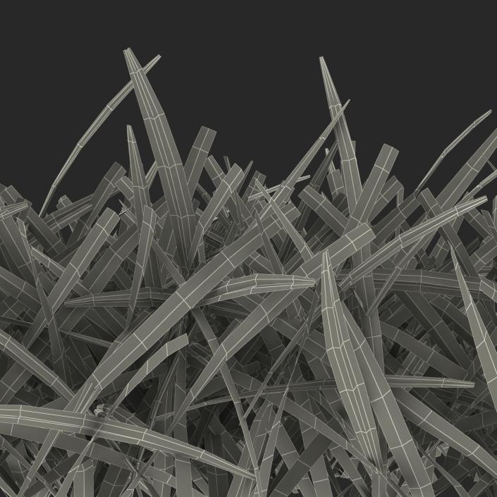 Grass 4 3D model