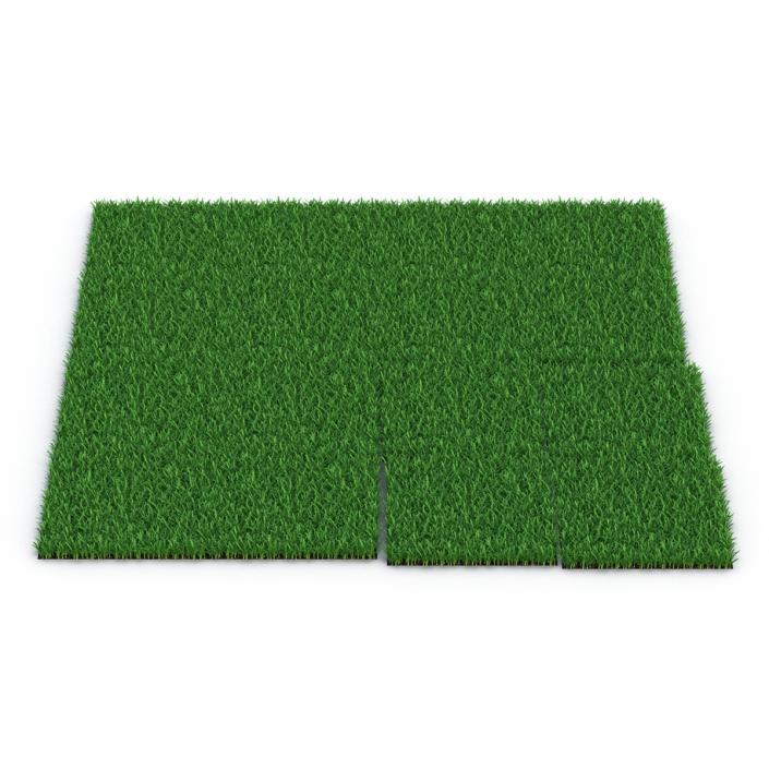 3D Saint Augustine Warm Season Grass model