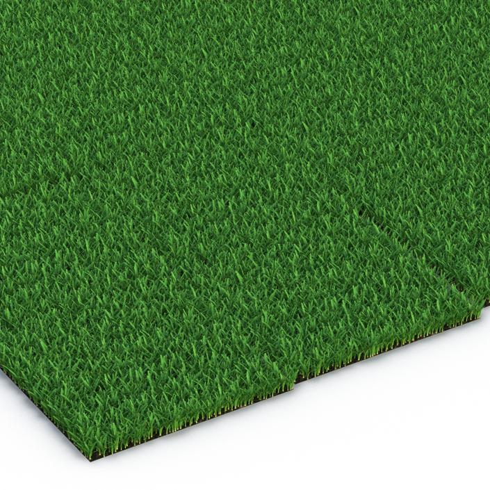 3D Saint Augustine Warm Season Grass model