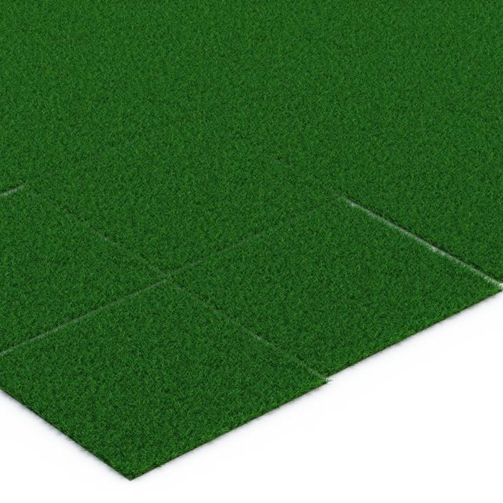 3D model Seashore Paspalum Warm Season Grass