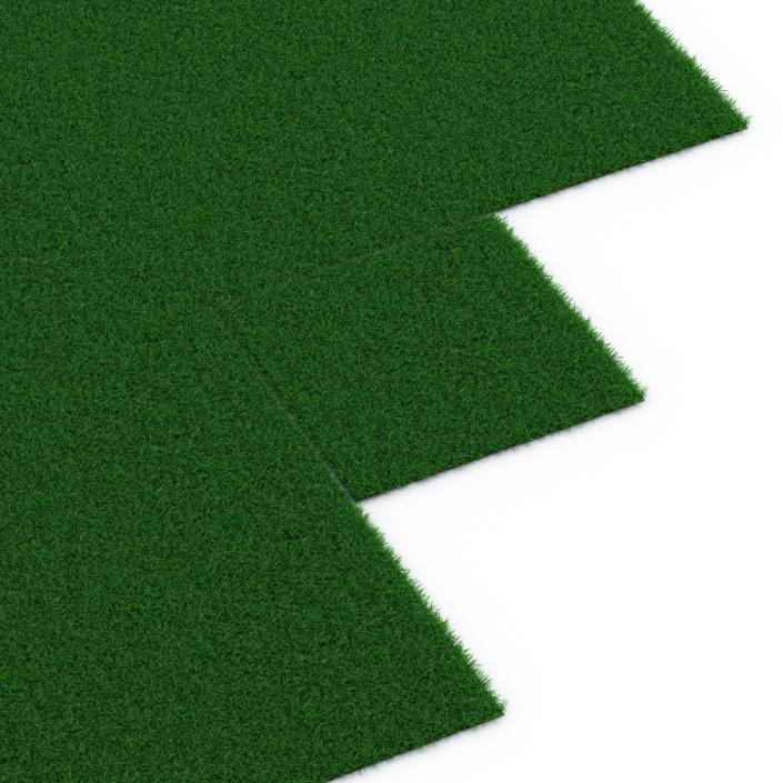 3D model Seashore Paspalum Warm Season Grass