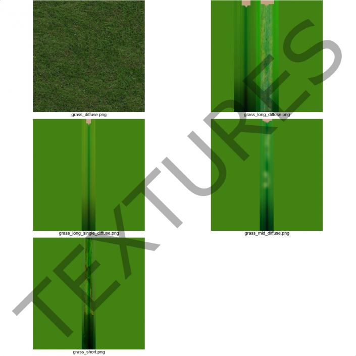 3D model Seashore Paspalum Warm Season Grass