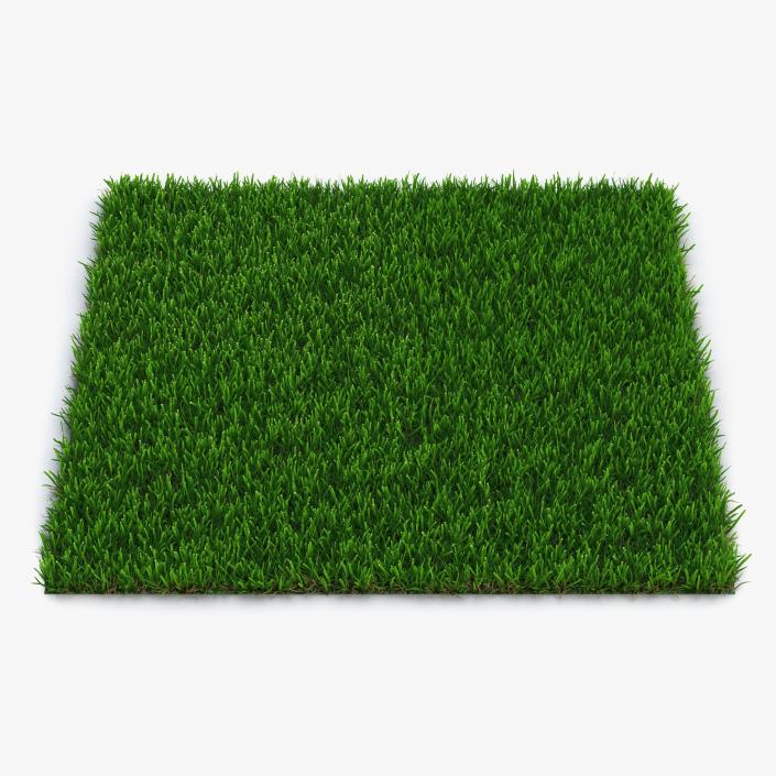 3D model Grass Fields Collection 3