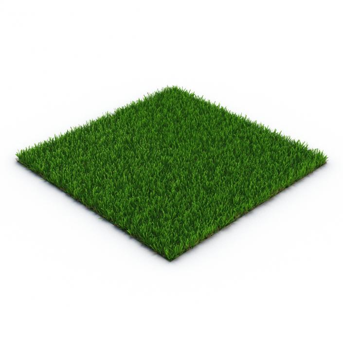 Zoysia Grass 3D