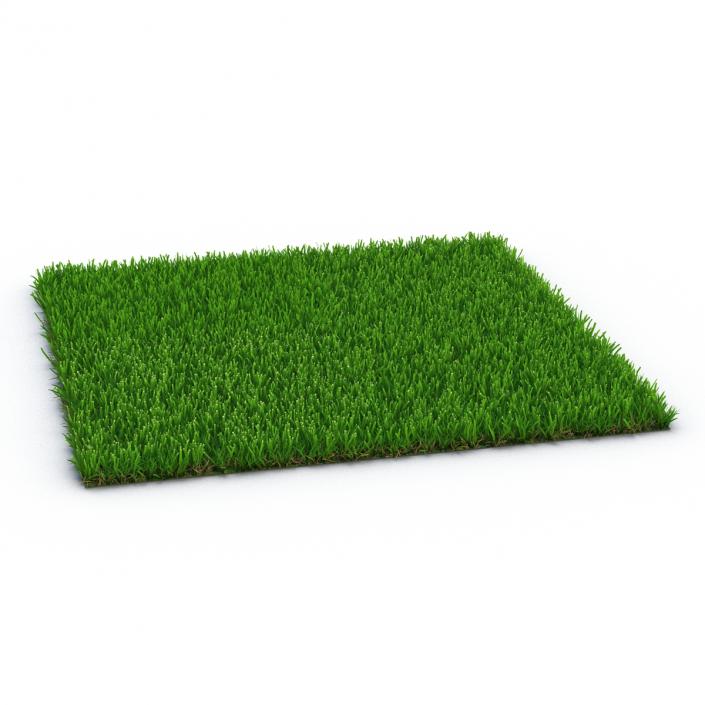 Zoysia Grass 3D