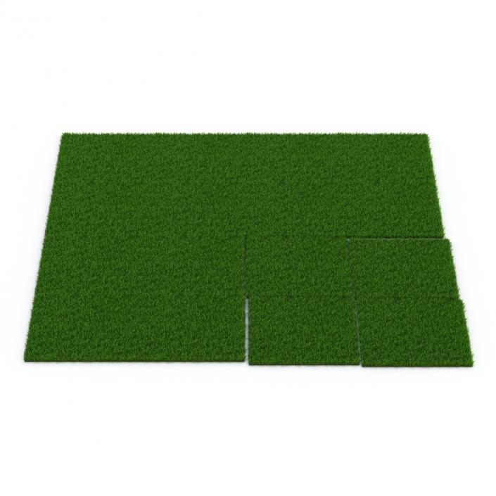 Zoysia Grass 3D