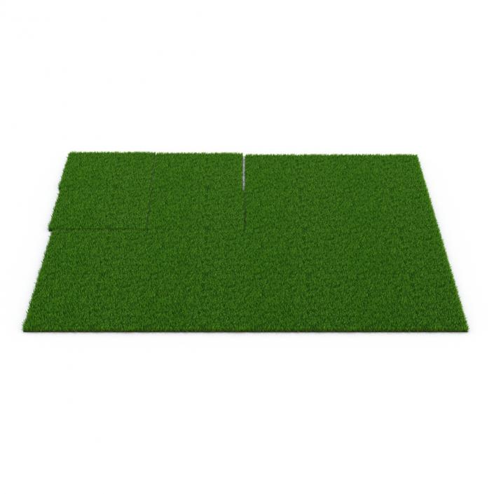 Zoysia Grass 3D