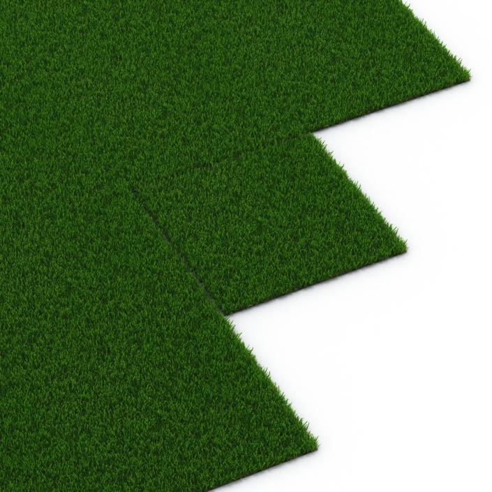 Zoysia Grass 3D