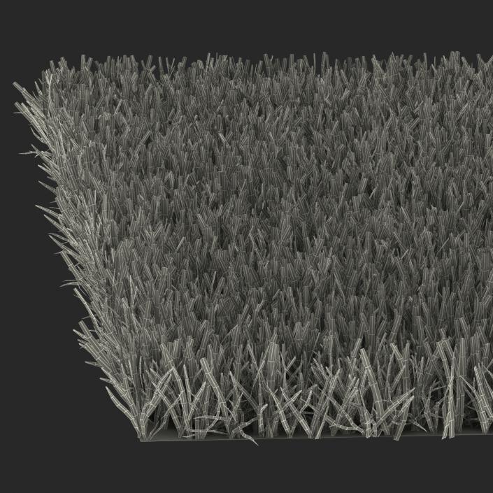 Zoysia Grass 3D