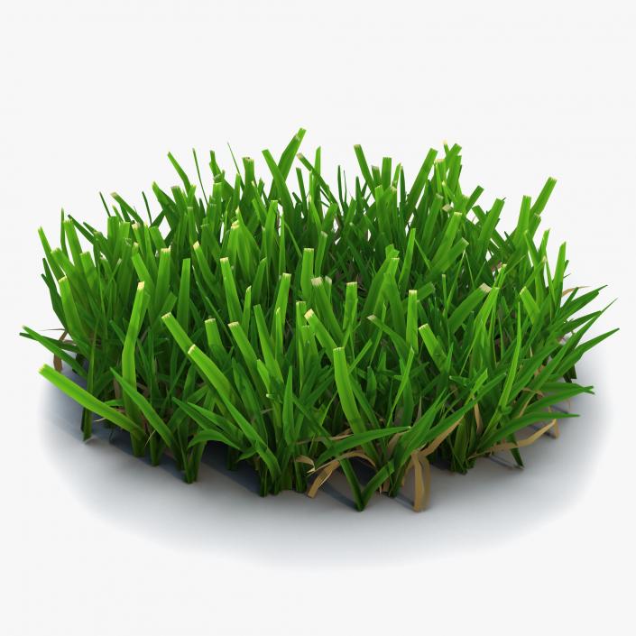 3D Grass Collection