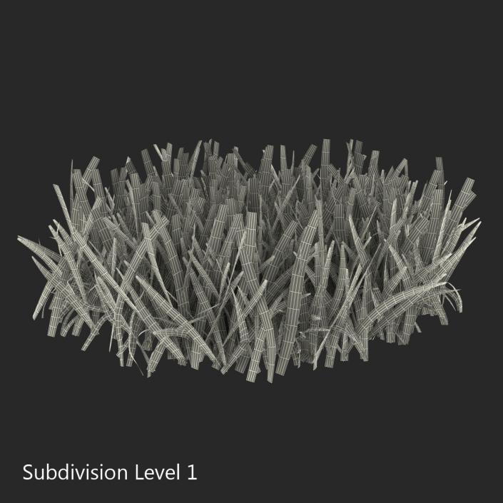 Grass 5 3D model