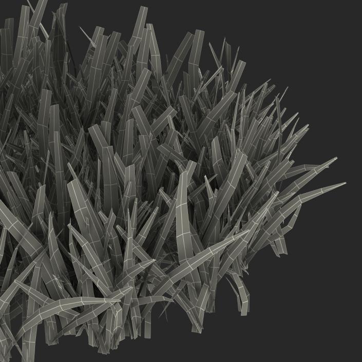 Grass 5 3D model