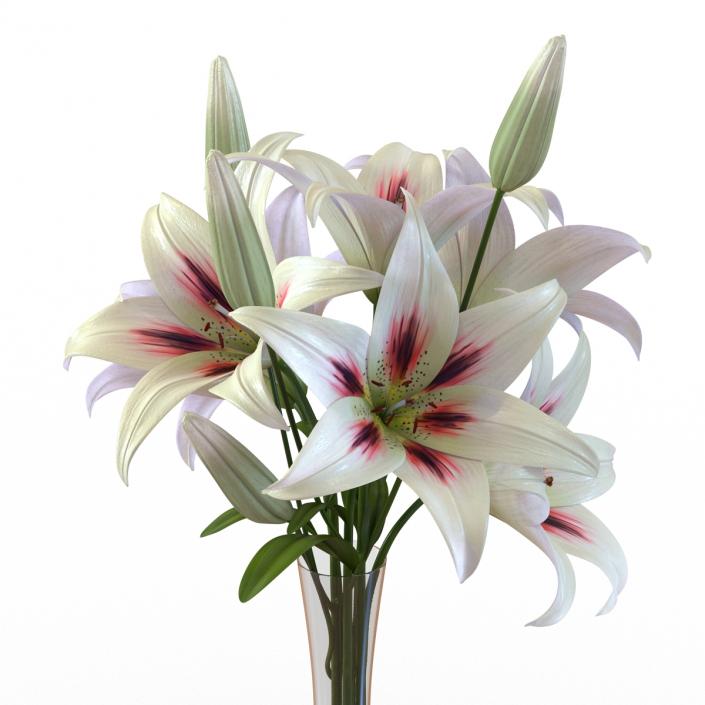 3D model White Lily Vase