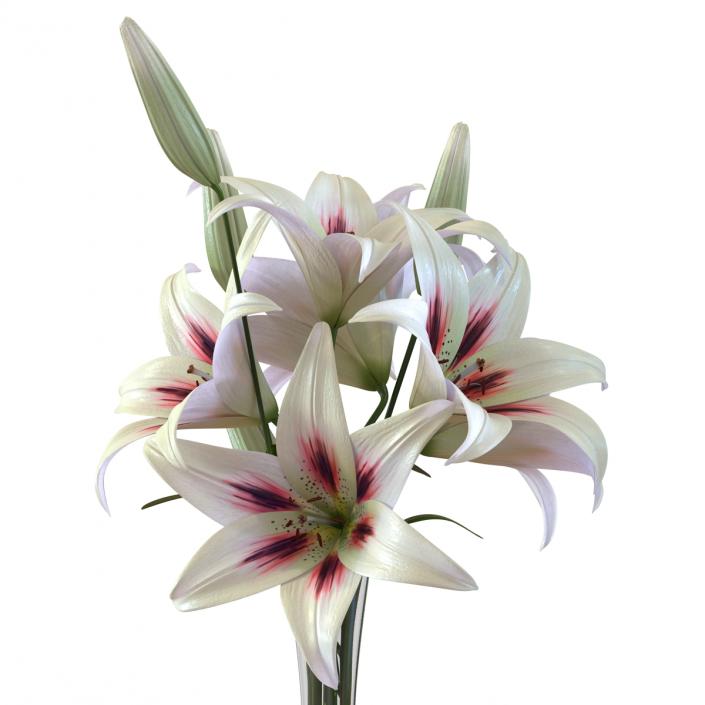 3D model White Lily Vase