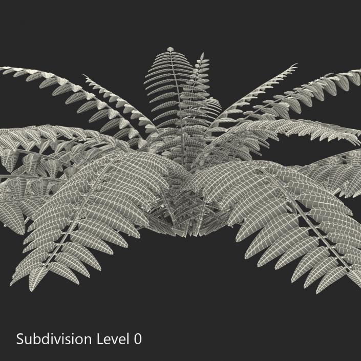 3D model Fern 2