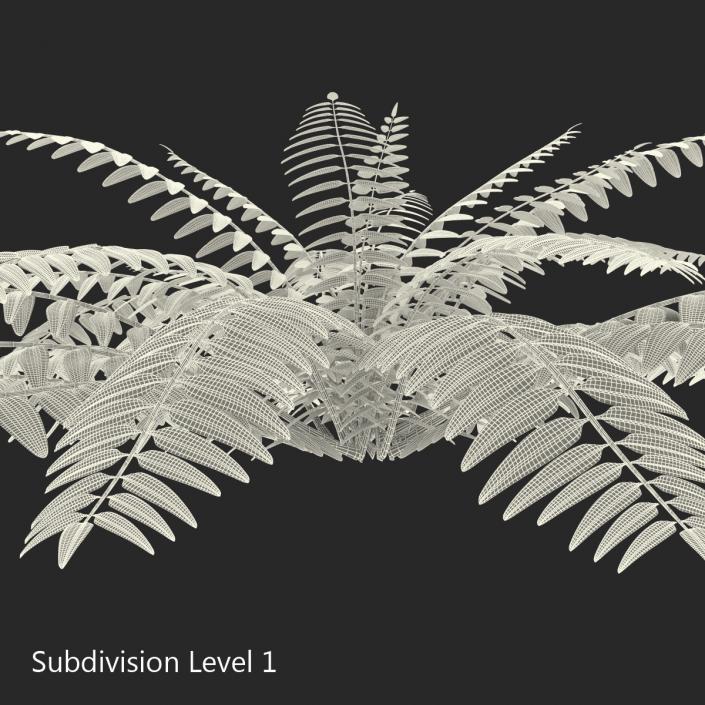 3D model Fern 2