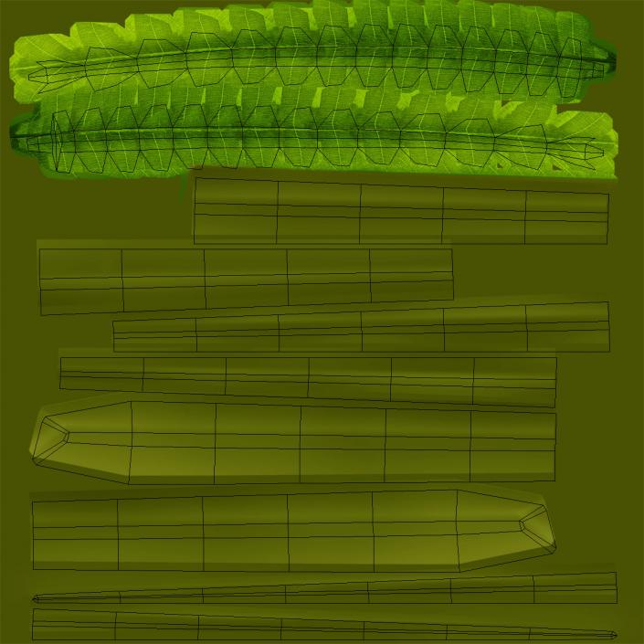 3D model Fern 2