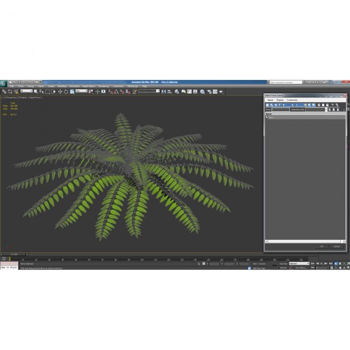 3D model Fern 2