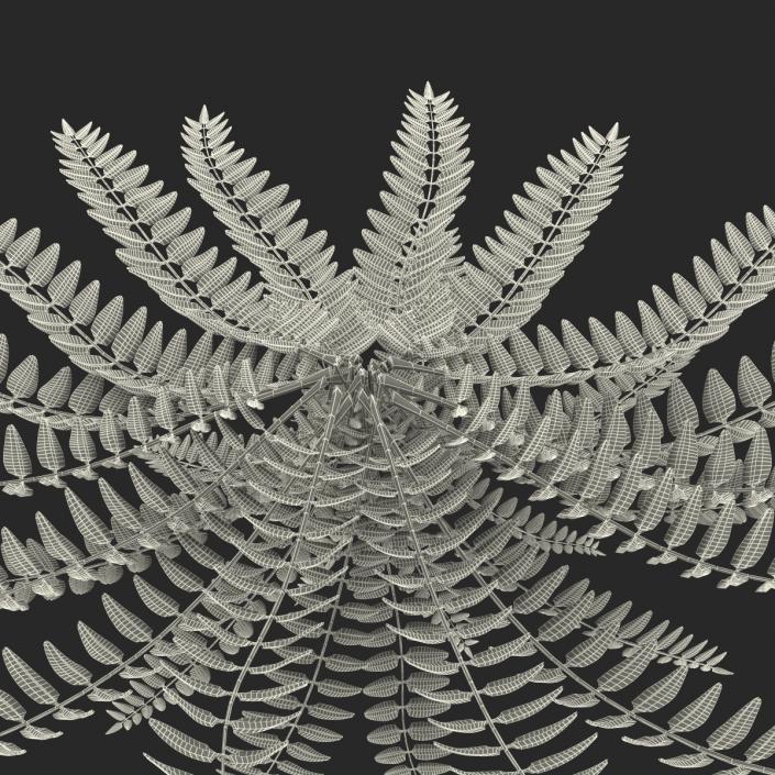 3D model Fern 2