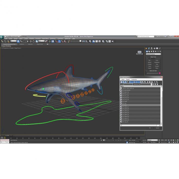 3D model Spinner Shark Rigged