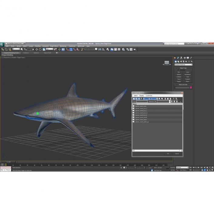 3D Spinner Shark model