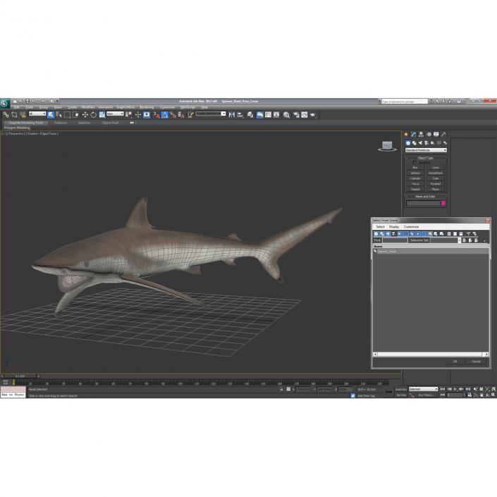 3D model Spinner Shark Pose 2