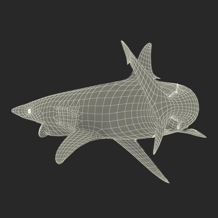 3D model Spinner Shark Pose 2