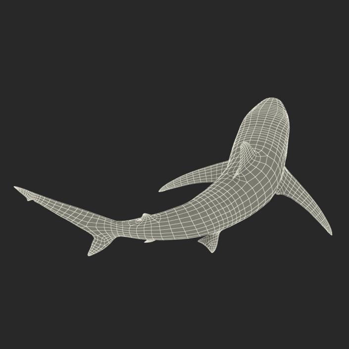 3D model Spinner Shark Pose 2