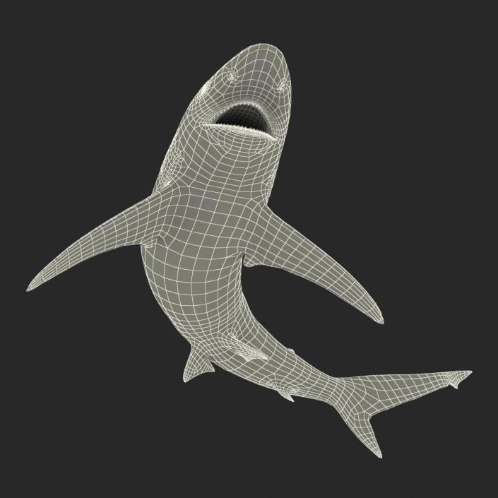 3D model Spinner Shark Pose 2