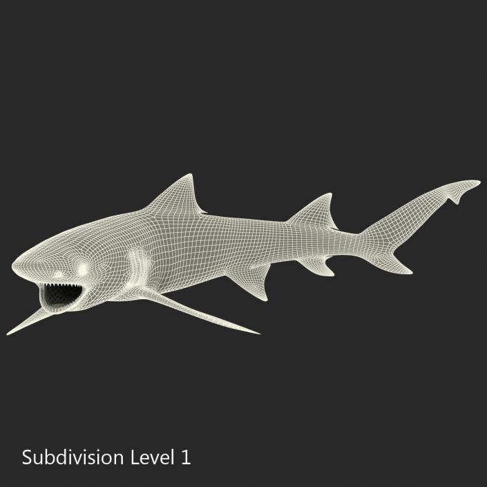 3D Sicklefin Lemon Shark Pose 2 model