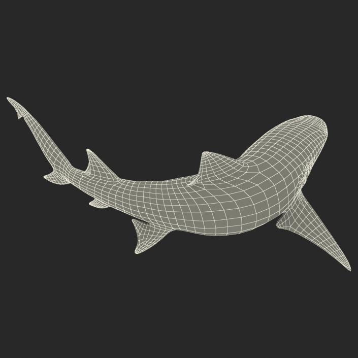 3D Sicklefin Lemon Shark Pose 2 model