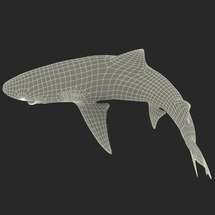 3D Sicklefin Lemon Shark Pose 2 model