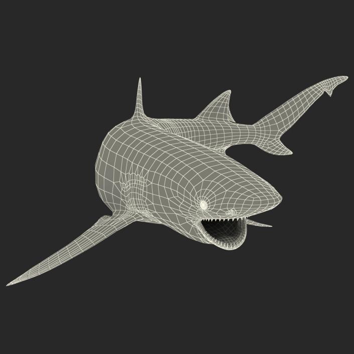 3D Sicklefin Lemon Shark Pose 2 model