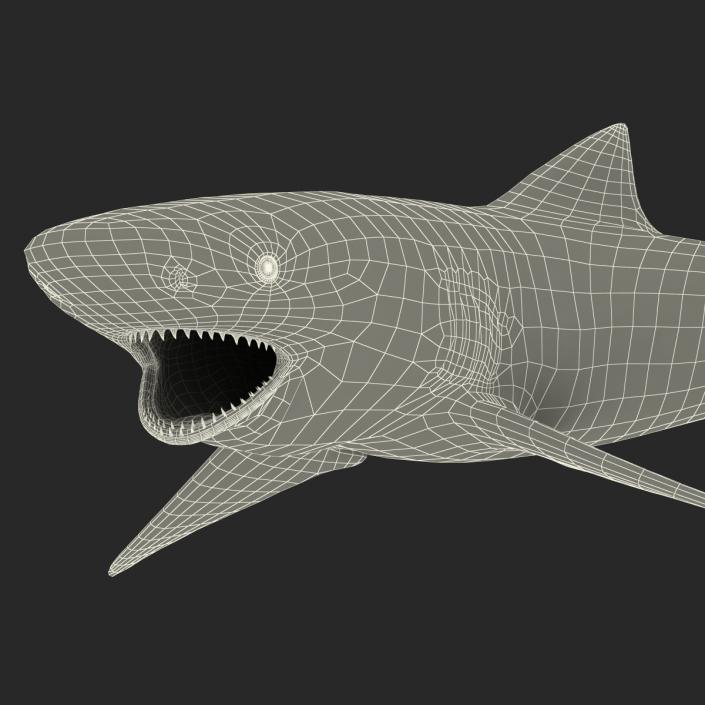 3D Sicklefin Lemon Shark Pose 2 model