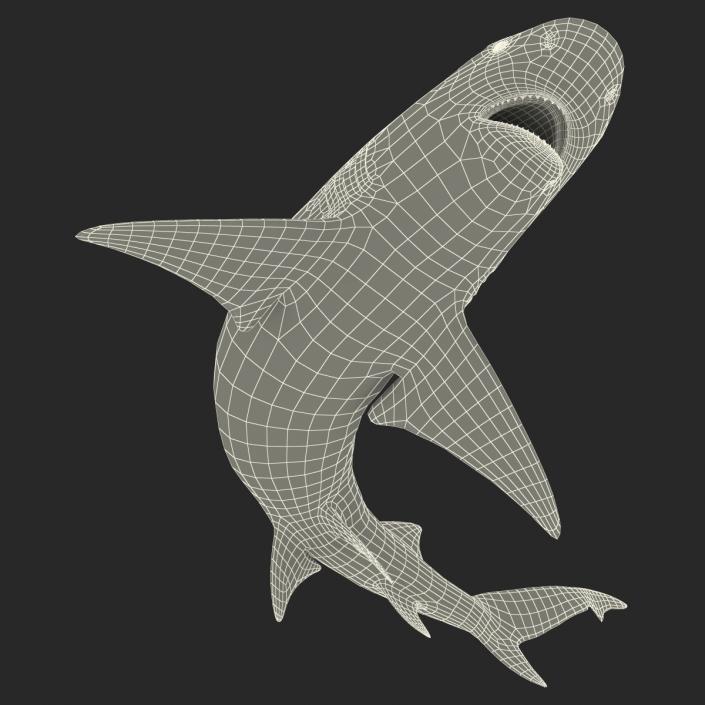 3D Sicklefin Lemon Shark Pose 2 model