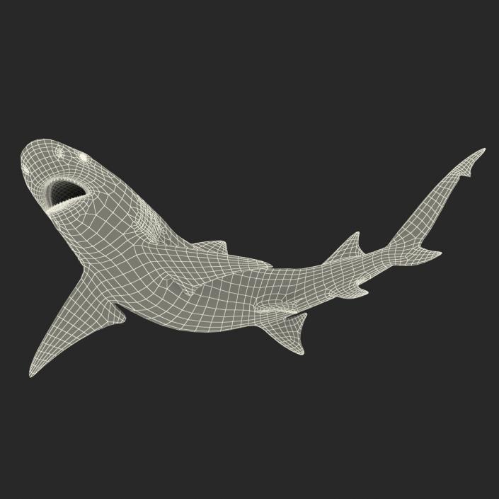 3D Sicklefin Lemon Shark Pose 2 model