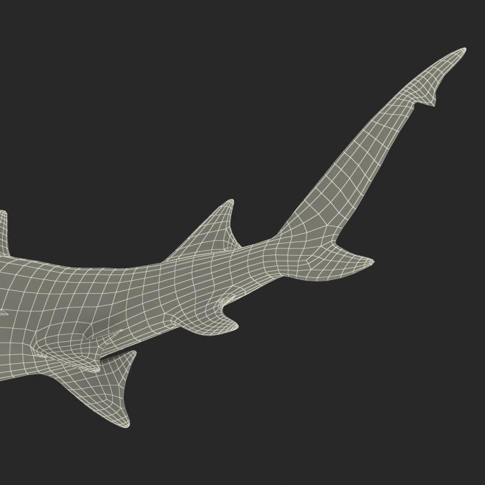 3D Sicklefin Lemon Shark Pose 2 model