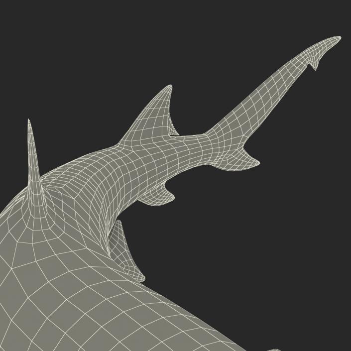 3D Sicklefin Lemon Shark Pose 2 model